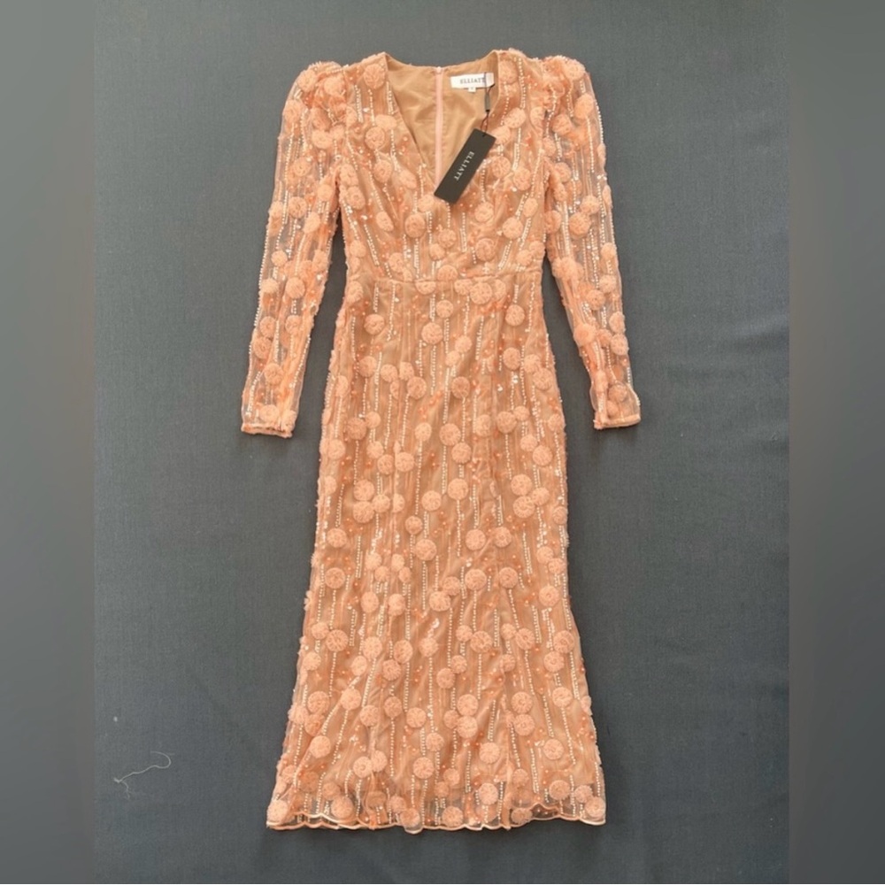 Elliatt Coral Lace Long Sleeve Dress